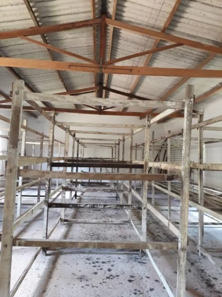 Sítio, 3 quartos, 50 hectares - Foto 15