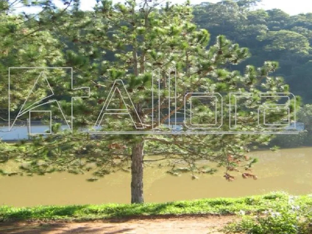 Sítio, 3 quartos, 50 hectares - Foto 6