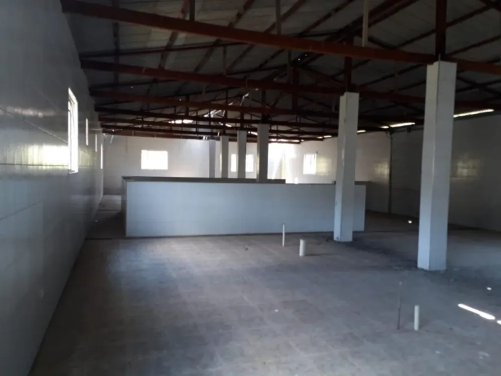 Sítio, 3 quartos, 50 hectares - Foto 4