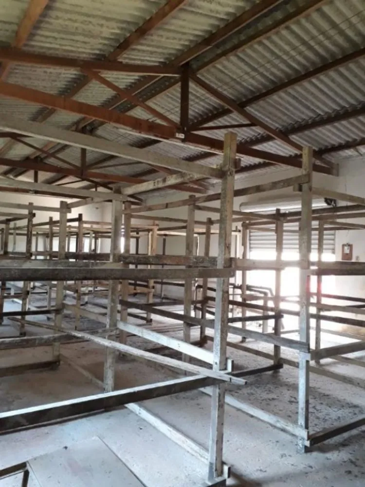 Sítio, 3 quartos, 50 hectares - Foto 7
