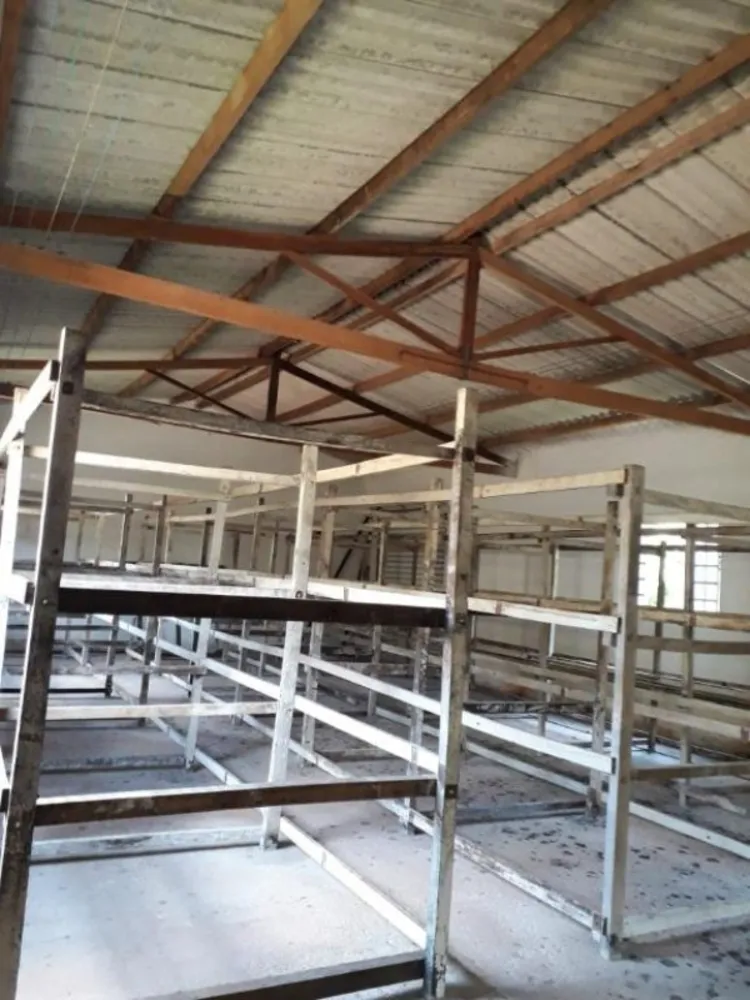 Sítio, 3 quartos, 50 hectares - Foto 1