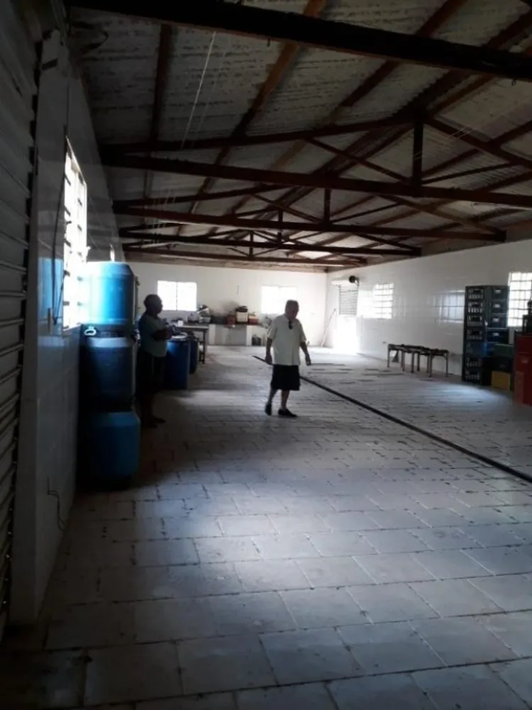 Sítio, 3 quartos, 50 hectares - Foto 4