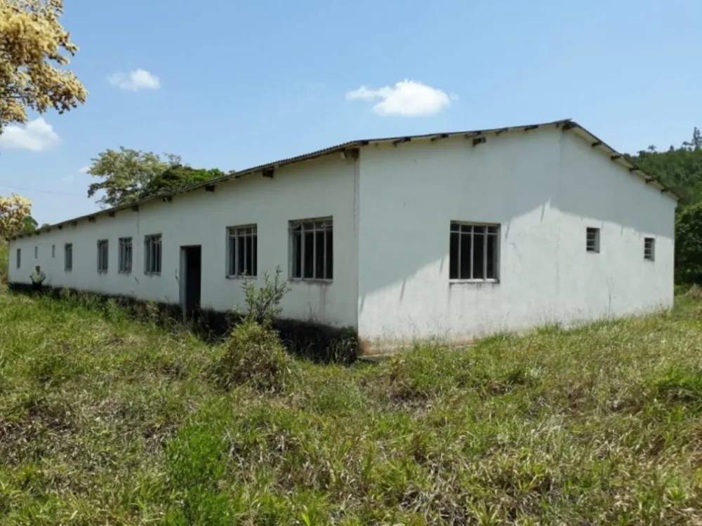 Sítio, 3 quartos, 50 hectares - Foto 6