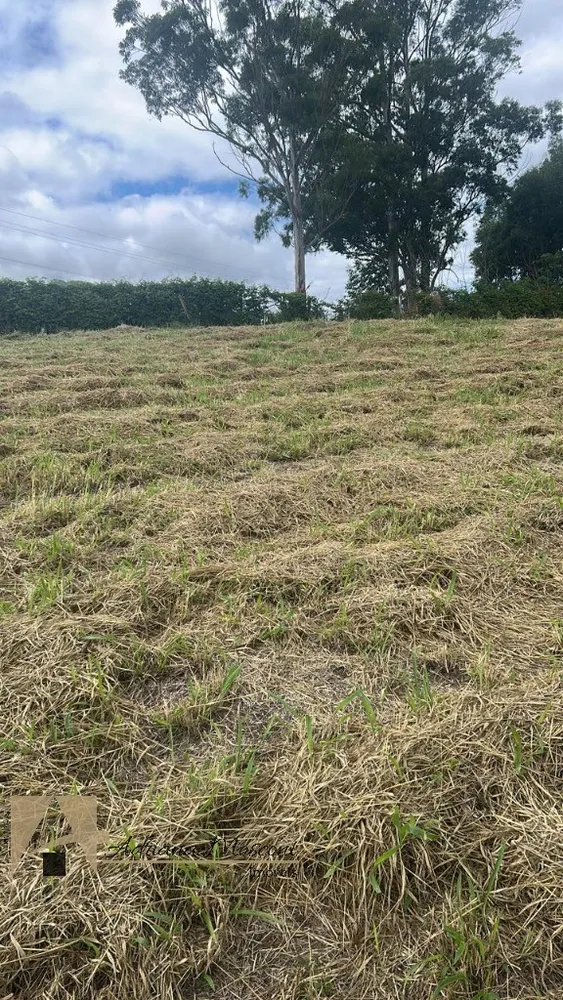 Terreno, 1019 m² - Foto 10
