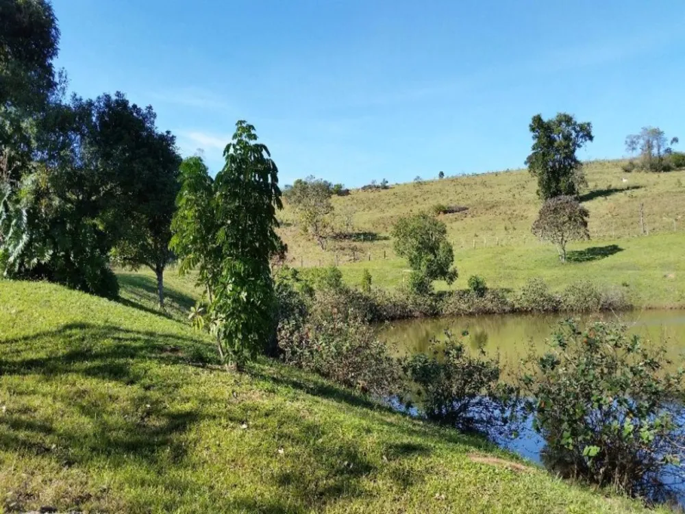 Fazenda, 94 hectares - Foto 23