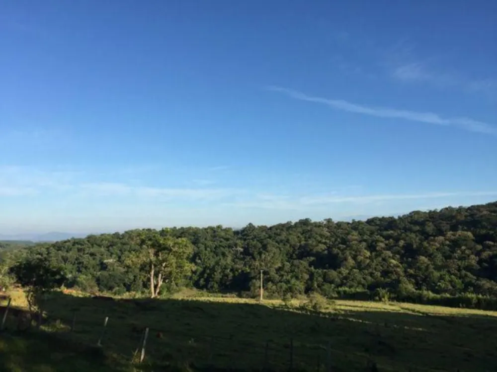 Fazenda, 94 hectares - Foto 4