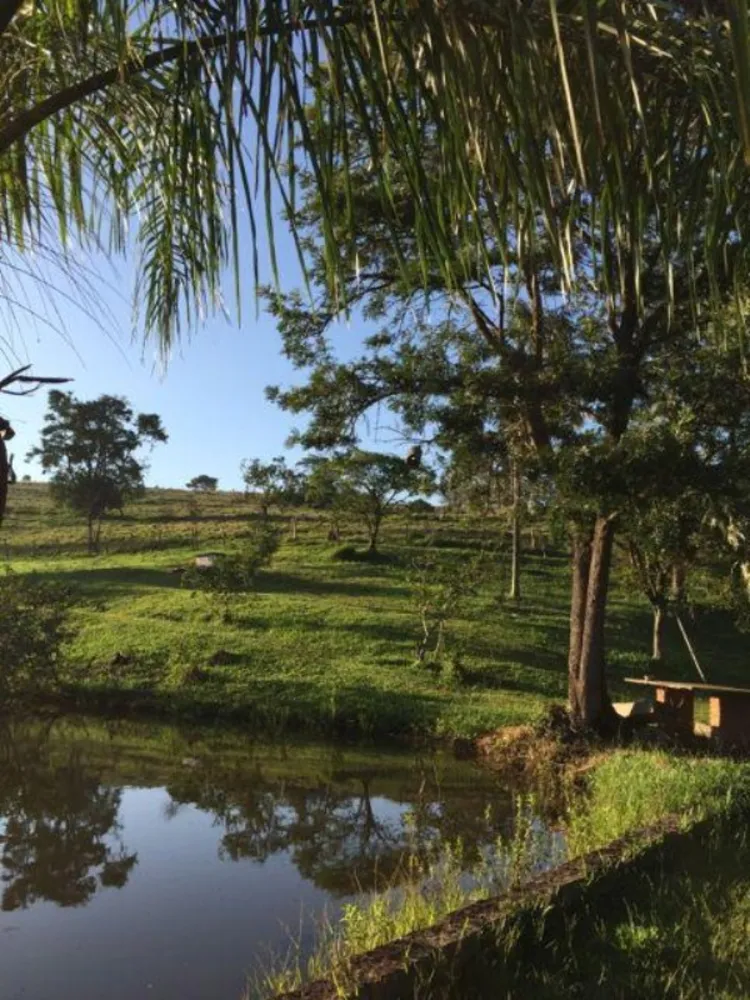 Fazenda, 94 hectares - Foto 3