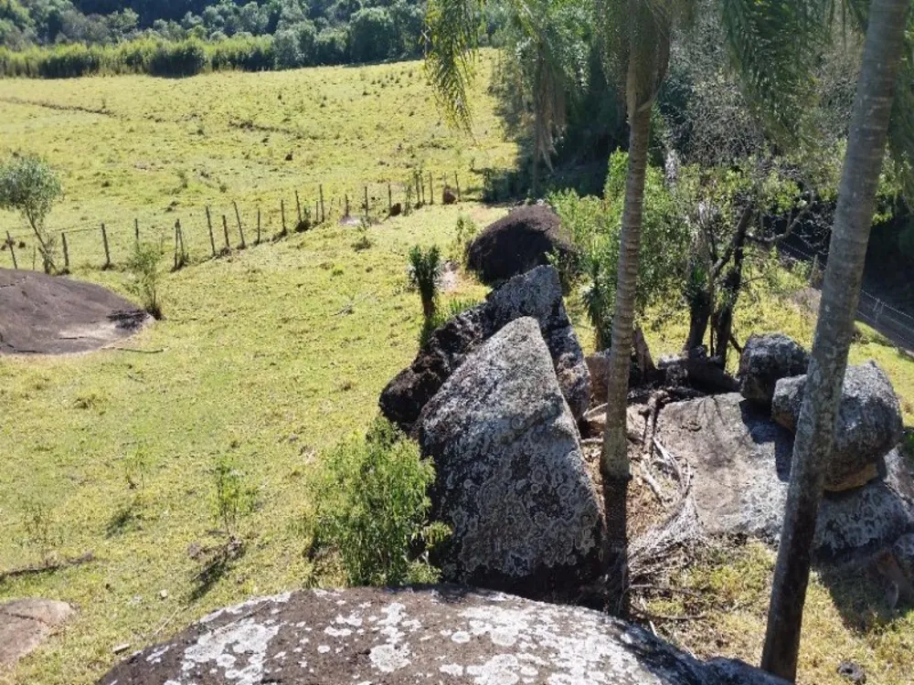 Fazenda, 94 hectares - Foto 24