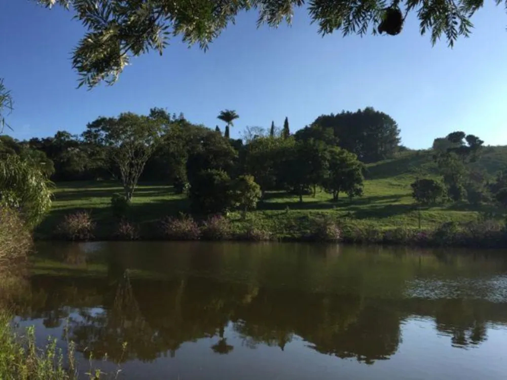 Fazenda, 94 hectares - Foto 6