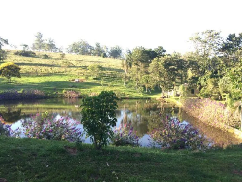 Fazenda, 94 hectares - Foto 2