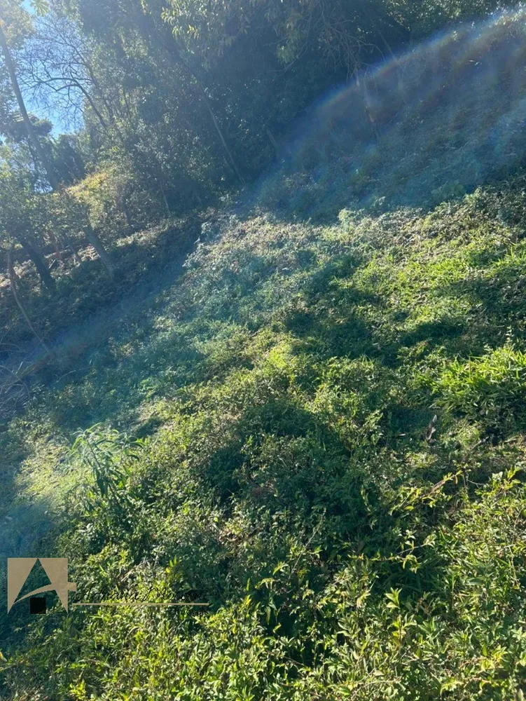 Terreno, 6100 m² - Foto 10