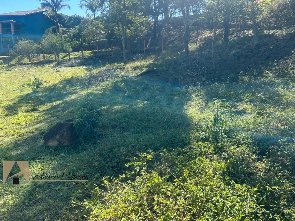 Terreno, 6100 m² - Foto 12