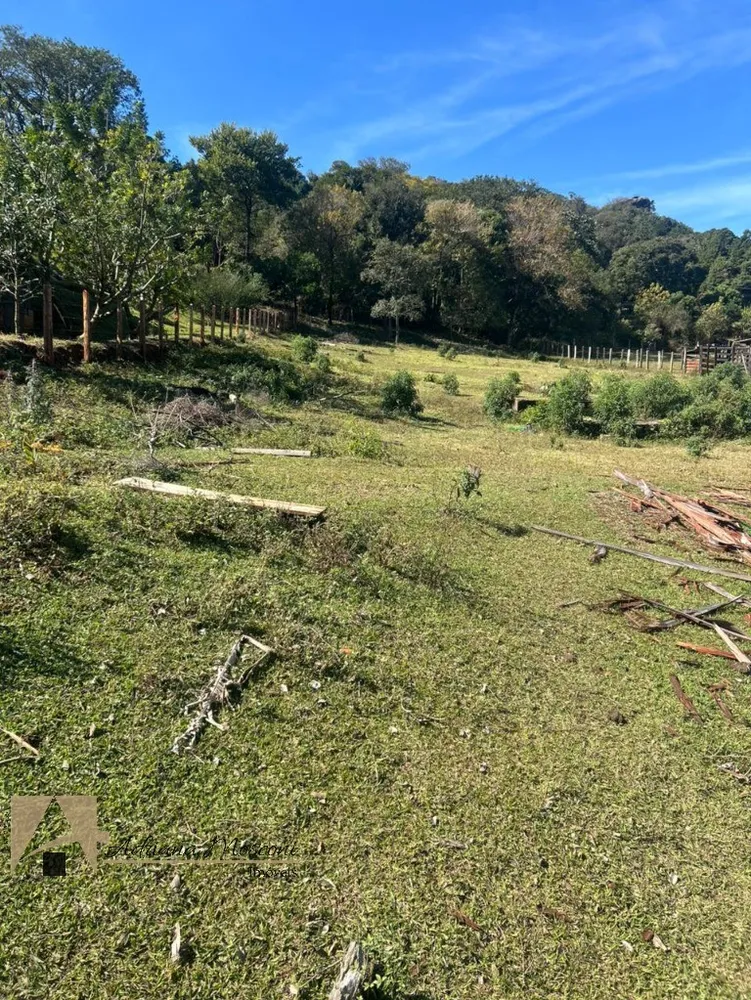 Terreno, 6100 m² - Foto 4