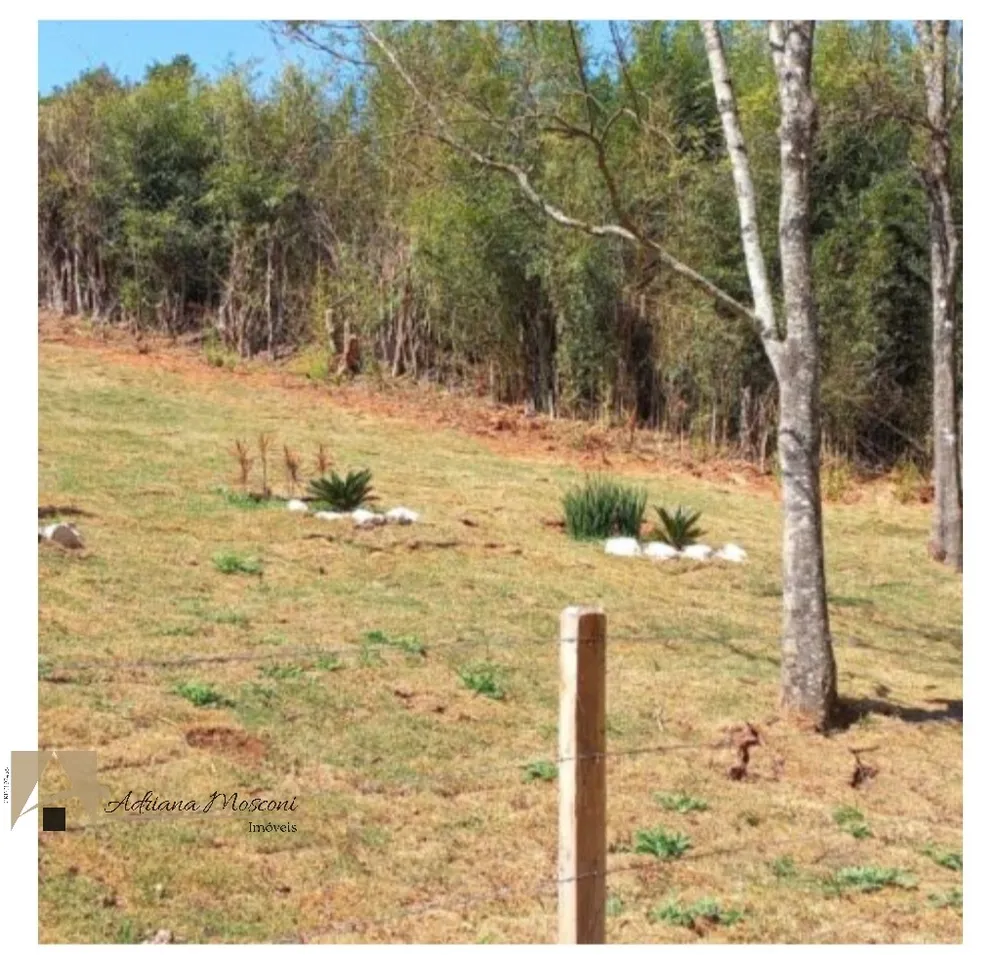 Terreno, 2 hectares - Foto 4