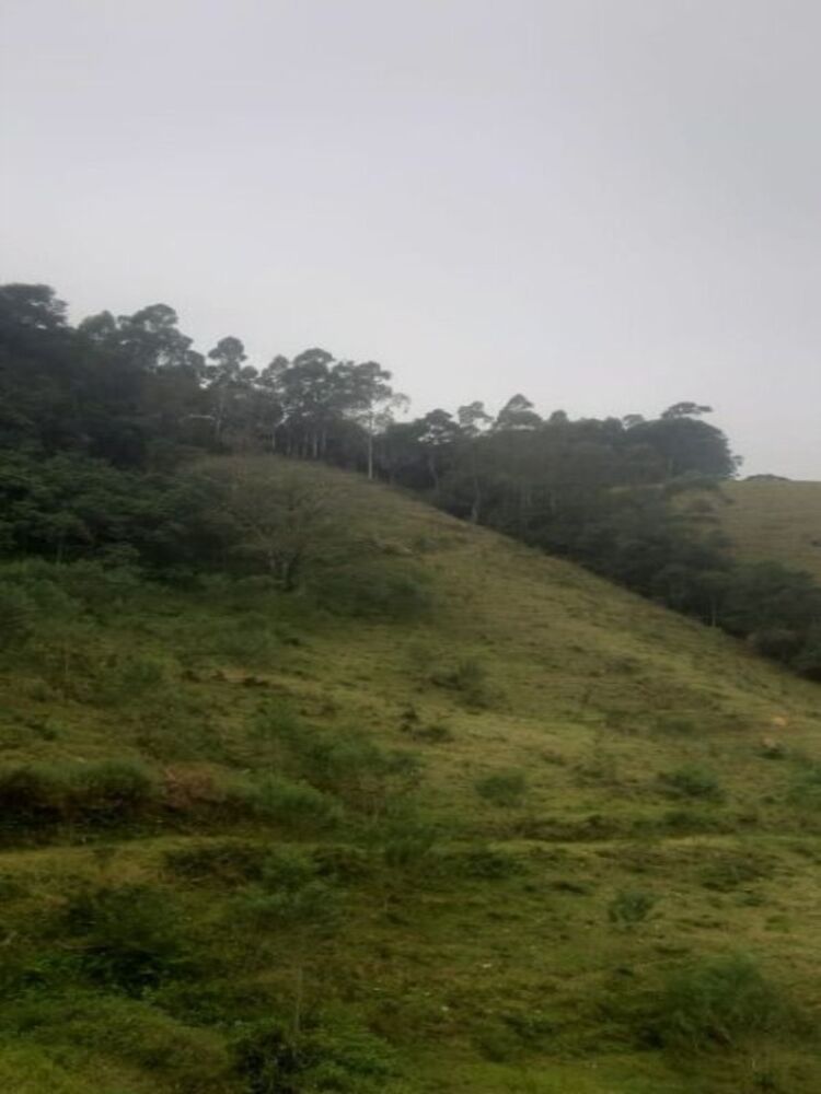 Sítio, 3 quartos, 4 hectares - Foto 11