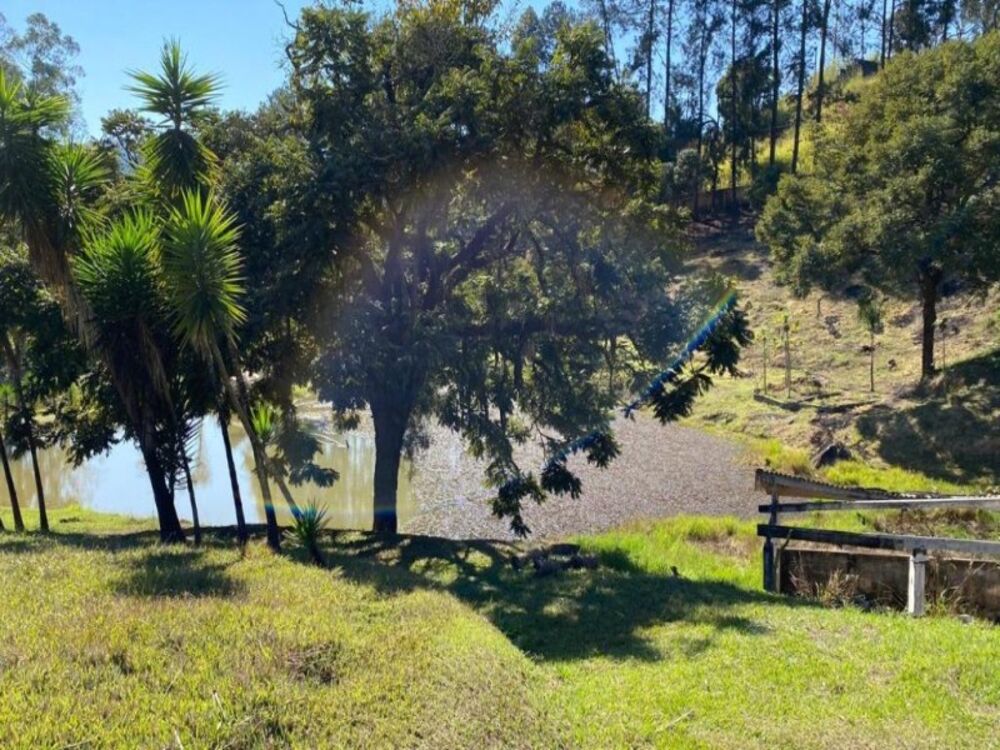 Sítio à venda com 6 quartos, 33000m² - Foto 11