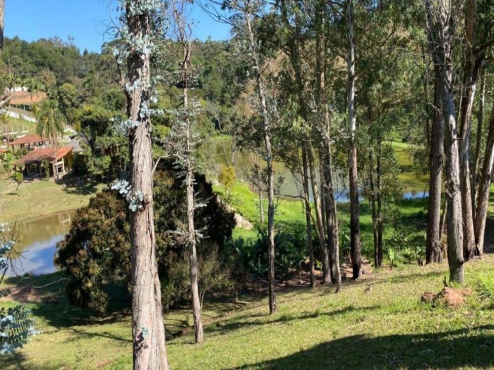 Sítio à venda com 6 quartos, 33000m² - Foto 6