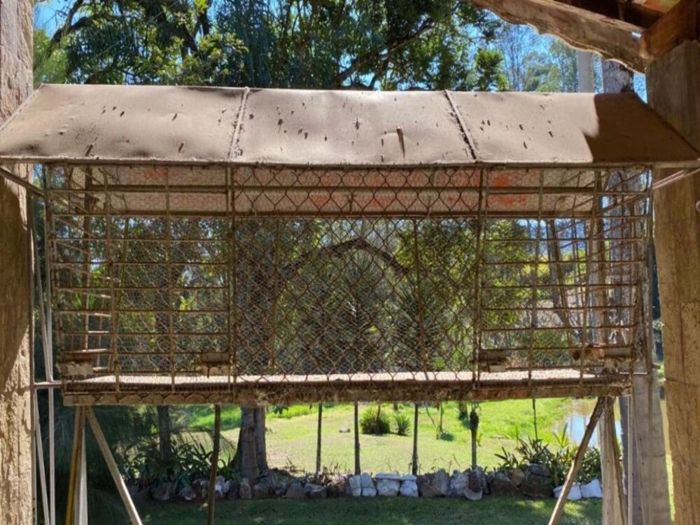 Sítio à venda com 6 quartos, 33000m² - Foto 5