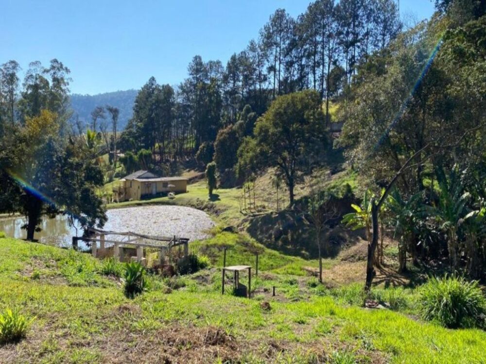 Sítio à venda com 6 quartos, 33000m² - Foto 8