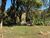 Sítio, 6 quartos, 3 hectares - Foto 25
