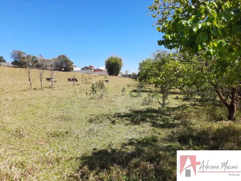 Sítio, 2 quartos, 6 hectares - Foto 4