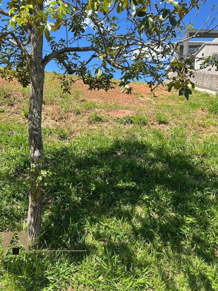 Terreno, 1506 m² - Foto 13