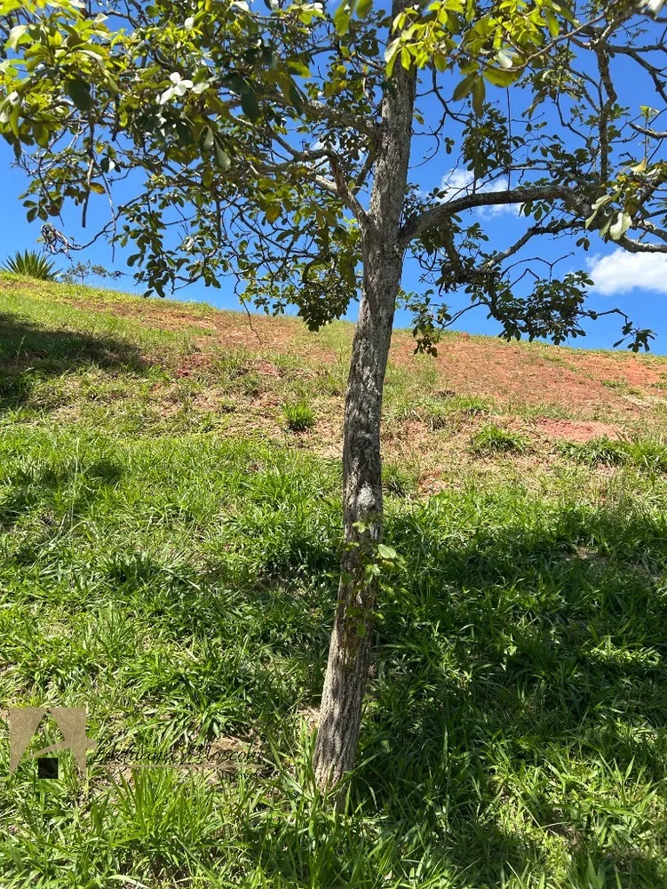 Terreno, 1506 m² - Foto 15