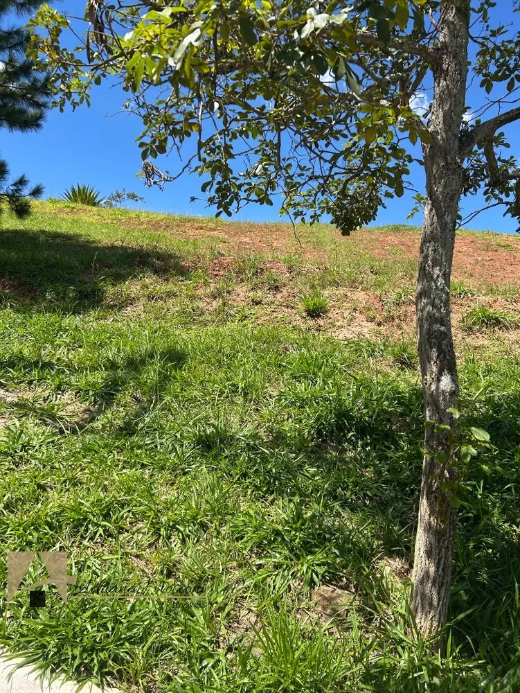 Terreno, 1506 m² - Foto 16