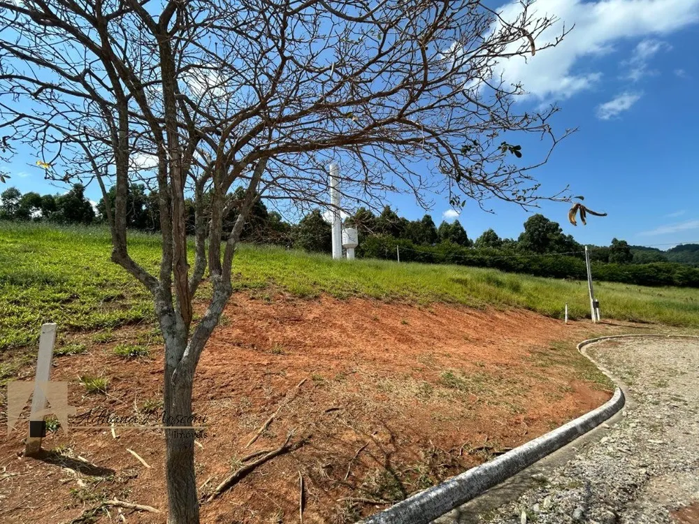 Terreno, 1023 m² - Foto 3