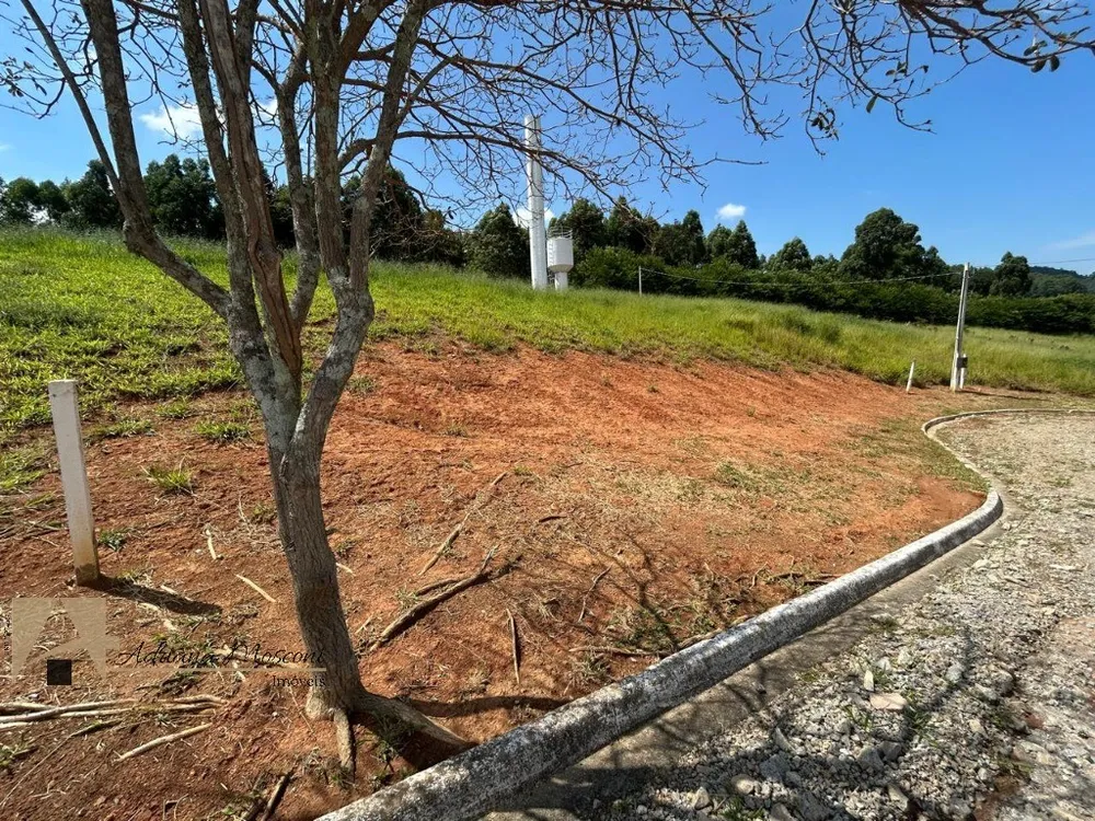 Terreno, 1023 m² - Foto 4