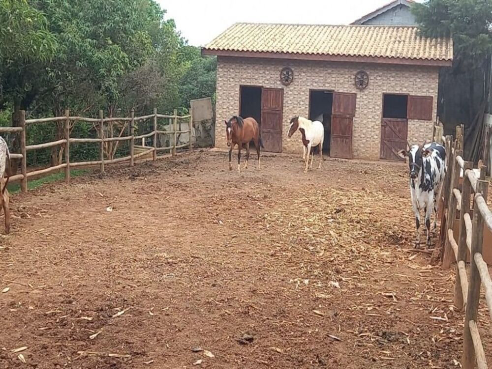Chácara, 4 quartos, 5664 m² - Foto 22