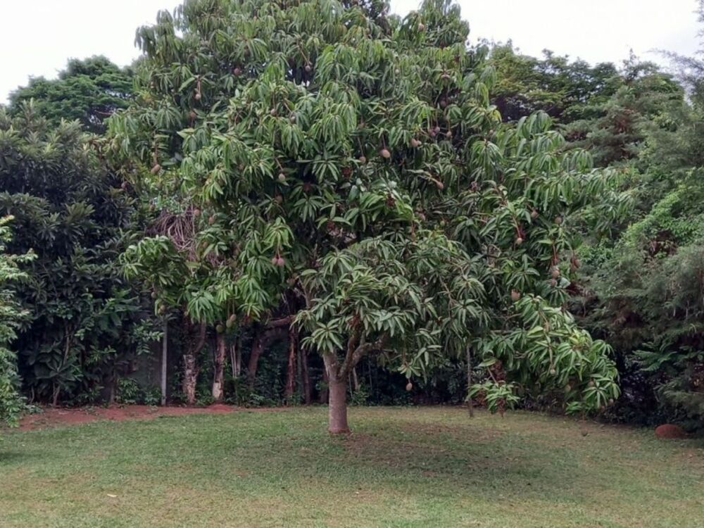 Chácara, 4 quartos, 5664 m² - Foto 10