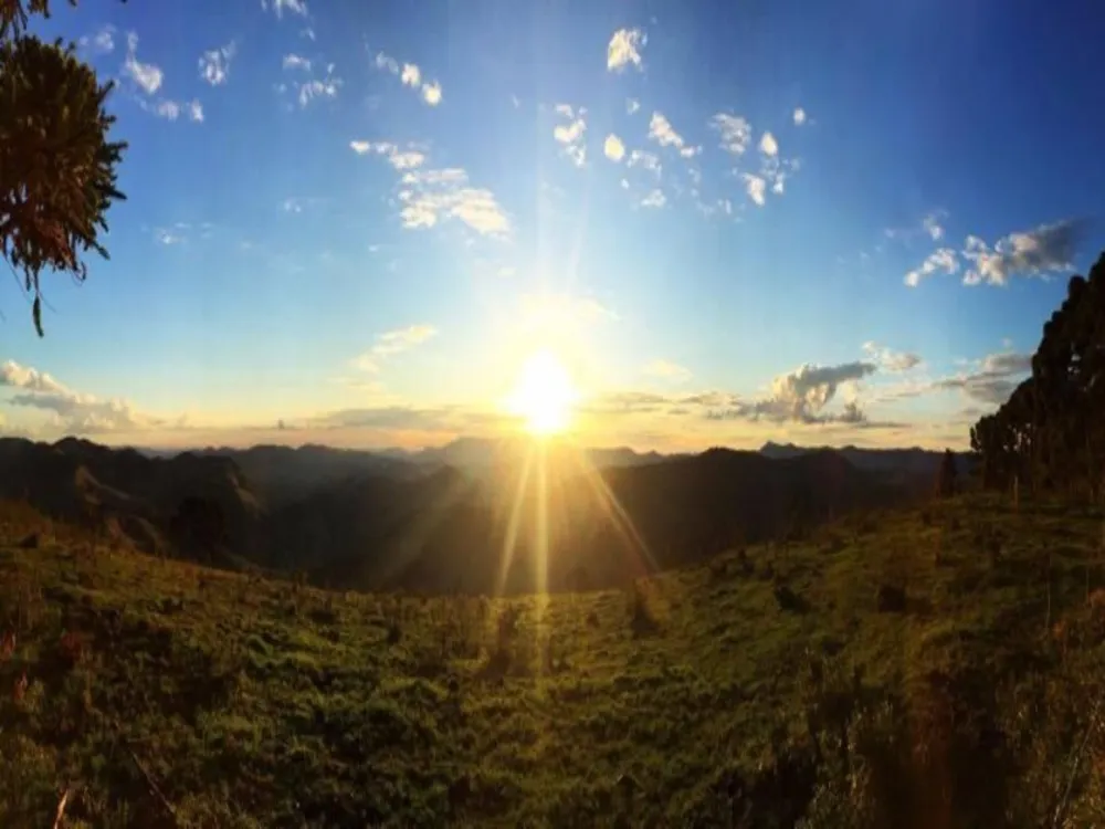 Fazenda, 73 hectares - Foto 11