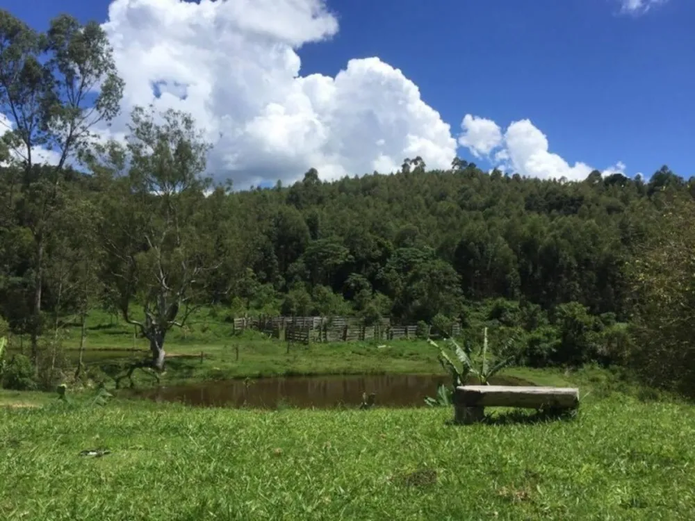 Fazenda, 73 hectares - Foto 17