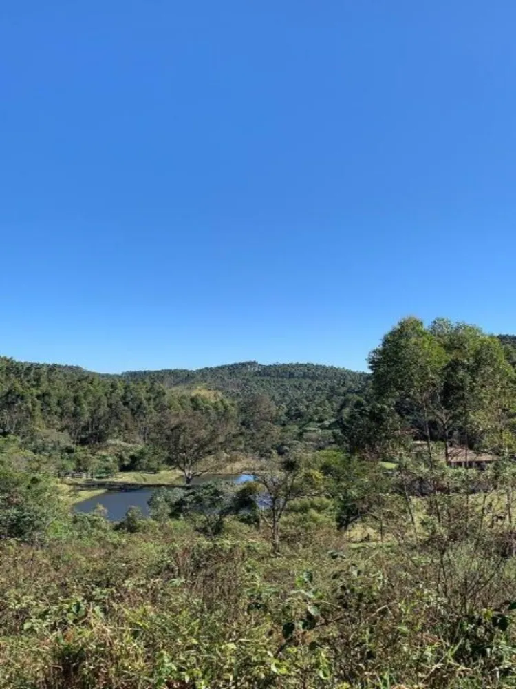 Fazenda, 73 hectares - Foto 19