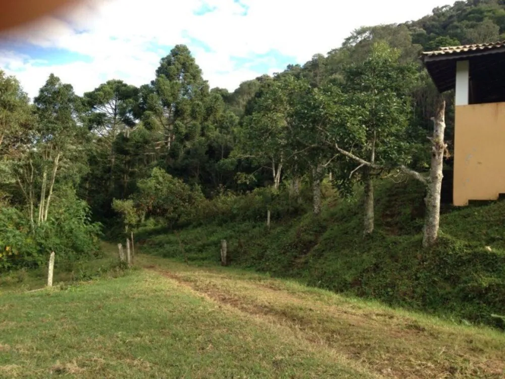 Fazenda, 73 hectares - Foto 7