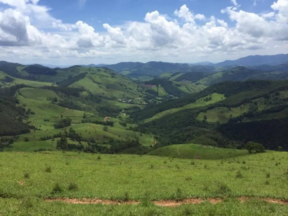 Fazenda, 73 hectares - Foto 8