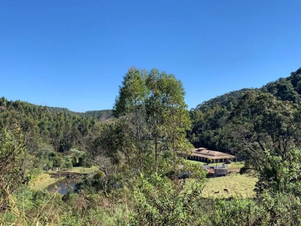 Fazenda, 73 hectares - Foto 1