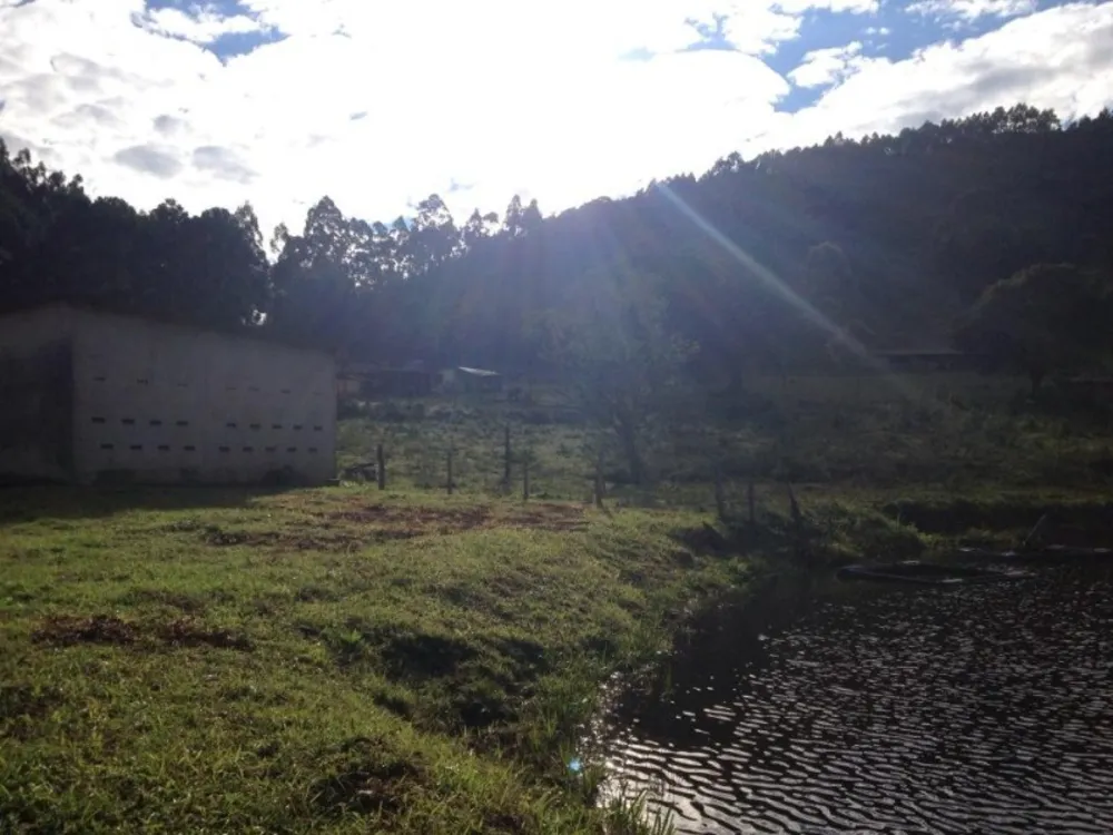 Fazenda, 73 hectares - Foto 6