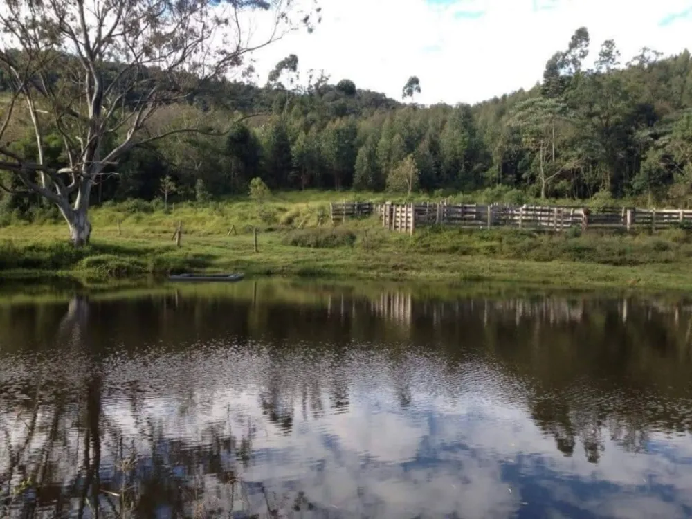 Fazenda, 73 hectares - Foto 15