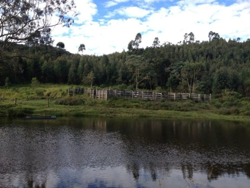 Fazenda, 73 hectares - Foto 4