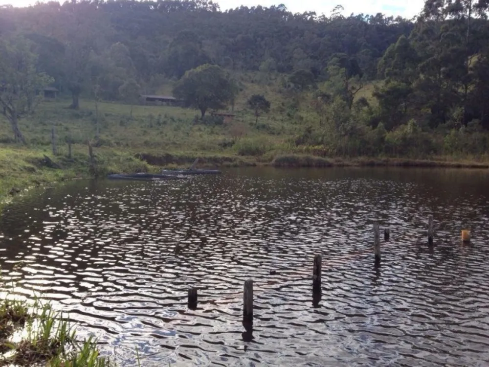 Fazenda, 73 hectares - Foto 18