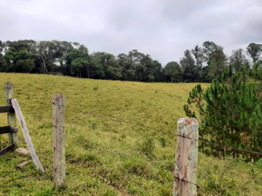 Sítio, 6 quartos, 18 hectares - Foto 8
