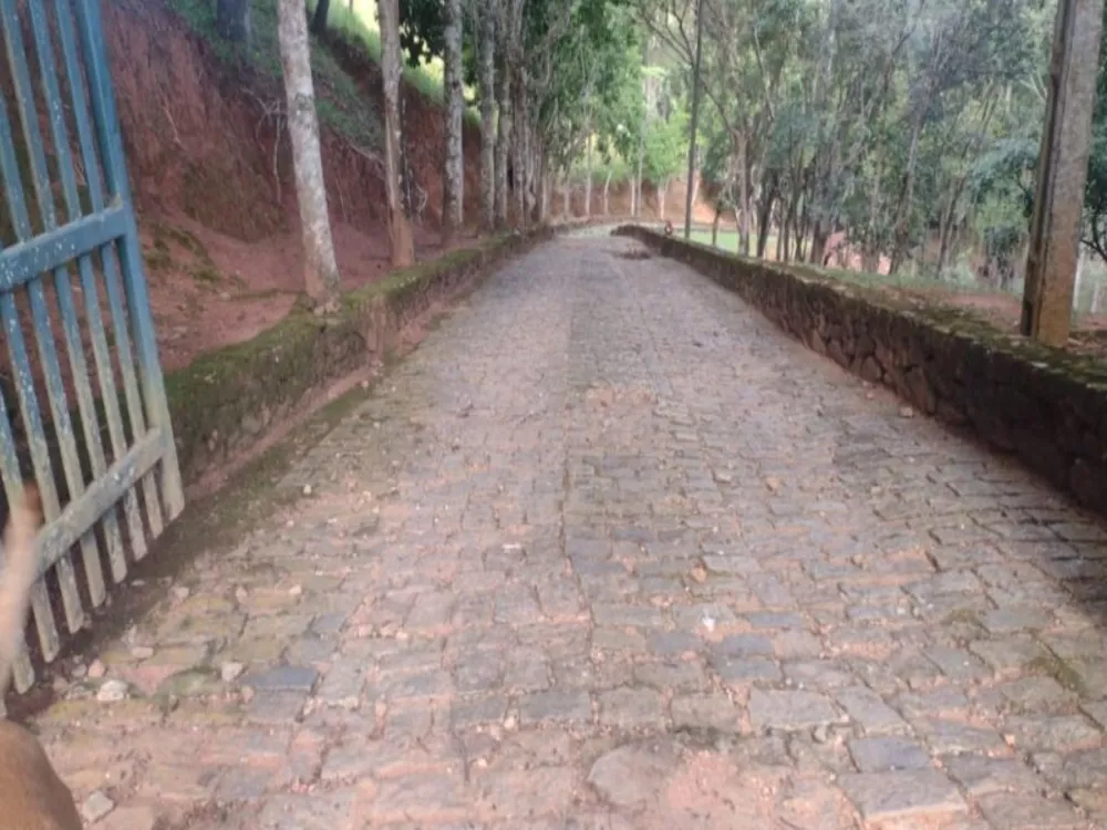 Sítio, 6 quartos, 18 hectares - Foto 6