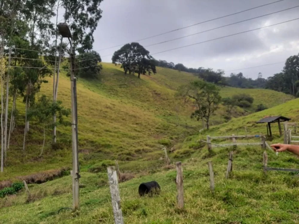 Sítio, 6 quartos, 18 hectares - Foto 4