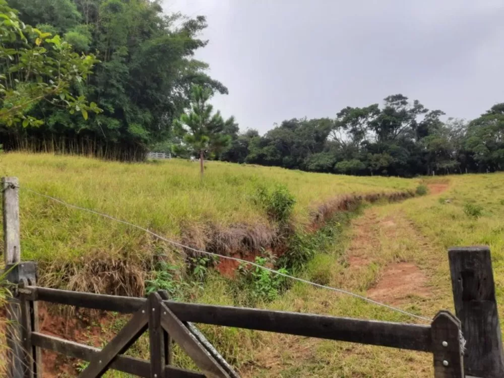 Sítio, 6 quartos, 18 hectares - Foto 7