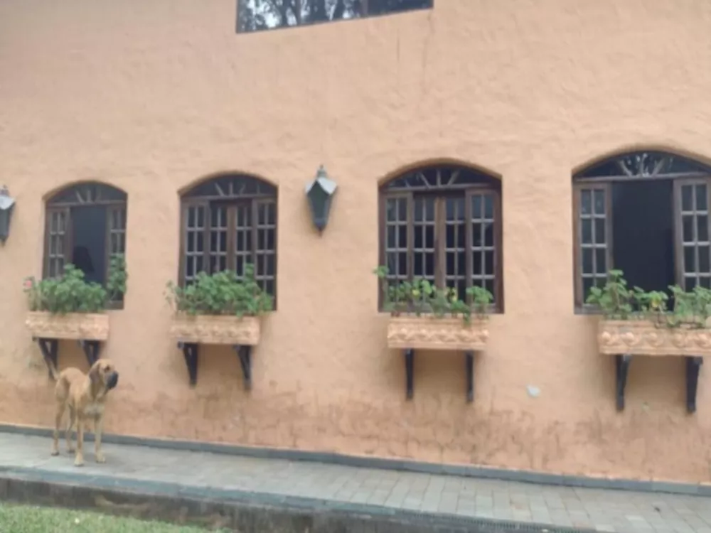 Sítio, 6 quartos, 18 hectares - Foto 16
