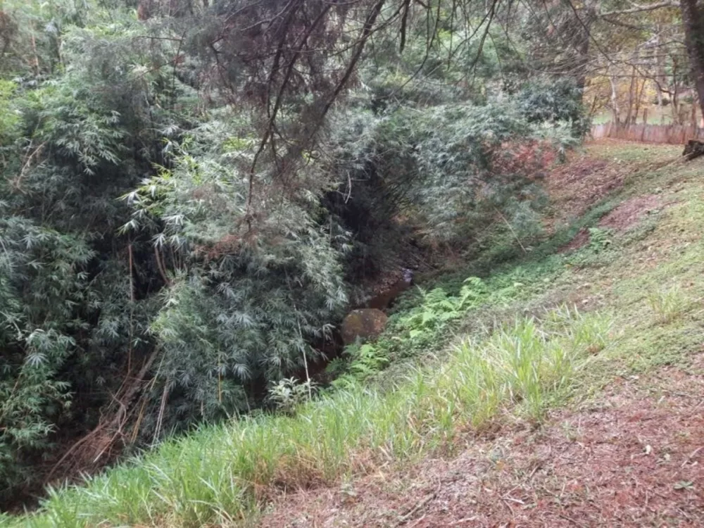 Sítio, 6 quartos, 18 hectares - Foto 1