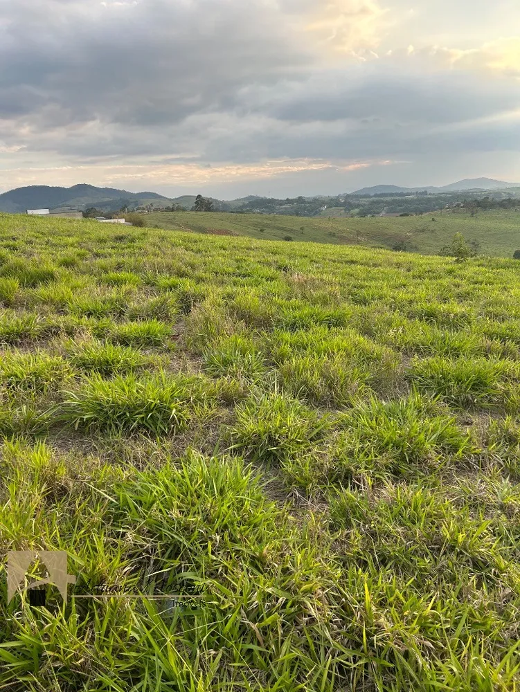 Terreno, 1040 m² - Foto 6