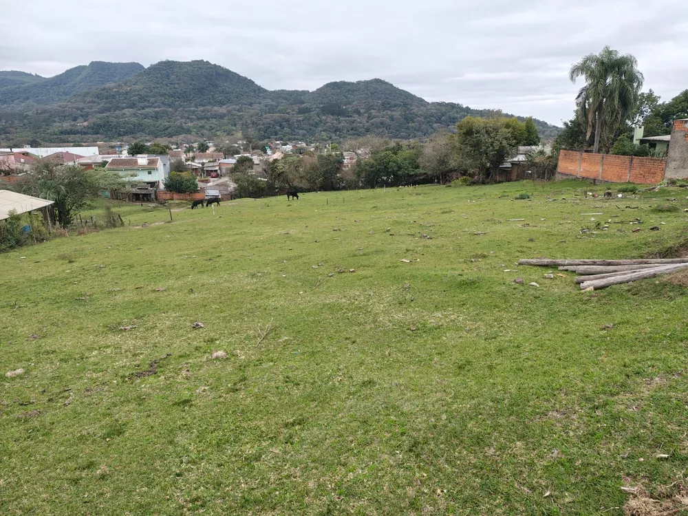 Terreno, 4524 m² - Foto 2